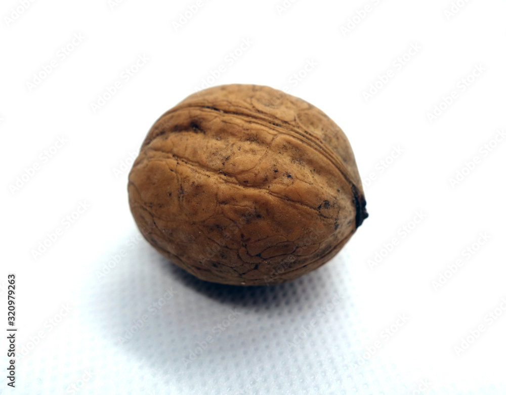 Wallnut on white. Wallnut on white.
