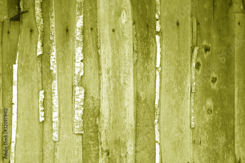 Wall made of uncutted weathered wood boards in yellow tone. photo