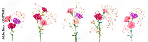 Set bouquets of carnation. White, pink, red, purple flowers, gypsophile twigs, white background. Illustration for Mother's Day, gentle light floral design, watercolor style, panoramic view, vector