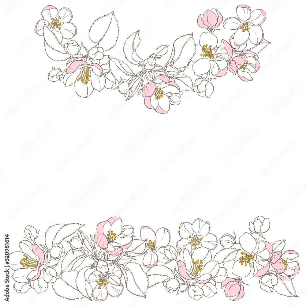 Floral vector background with blooming apple tree branches and place for text on white. Invitation, greeting card or an element for your design. Horizontal composition. Floral vector background with blooming apple tree branches and place for text on white. Invitation, greeting card or an element for your design. Horizontal composition.