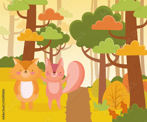 cute squirrel and fox path forest trees nature landscape