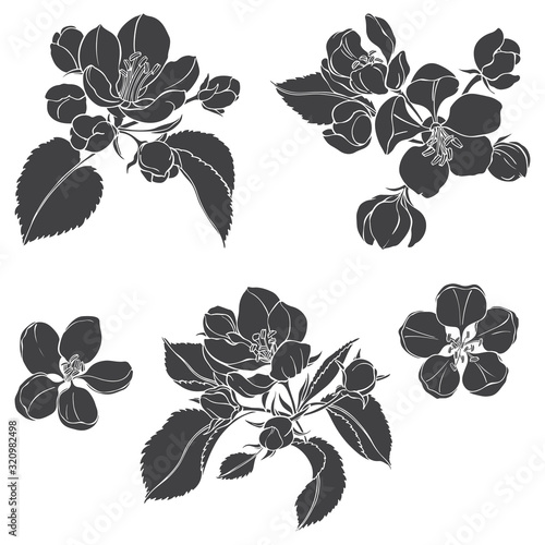 Apple tree branches. Sketch.Hand drawn vector illustration, isolated floral elements for design on white background. Silhouettes.