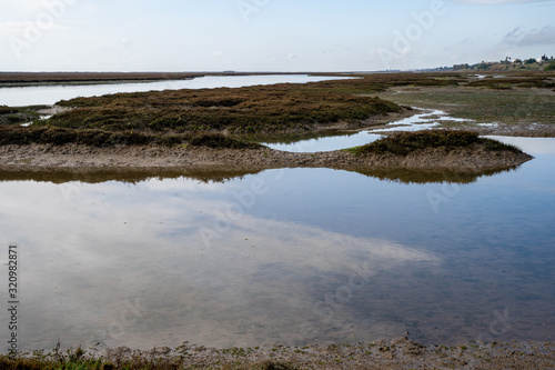The swamp and wetlands near Barril Beach in Tavira Portugal