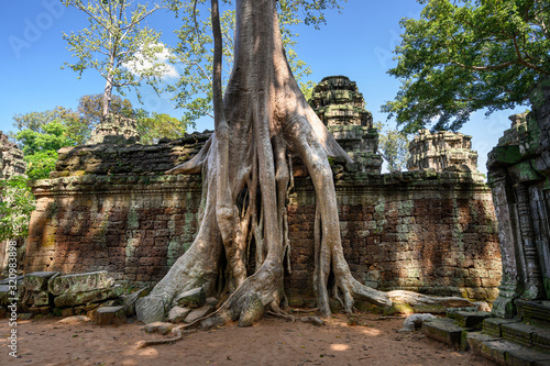 Ta Prohm temple at Angkor Wat complex  Siem Reap  Cambodia