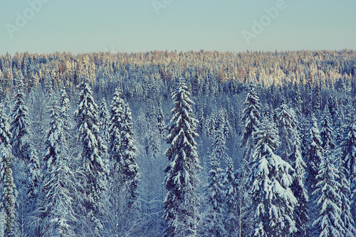 Beautiful winter landscape