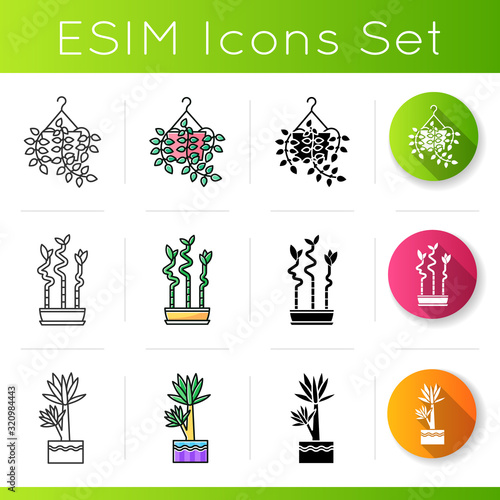 Indoor plants icons set. Houseplants. Domesticated ornamental plants. Yucca, lucky bamboo. Pothos. Linear, black and RGB color styles. Linear black and RGB color styles. Isolated vector illustrationss