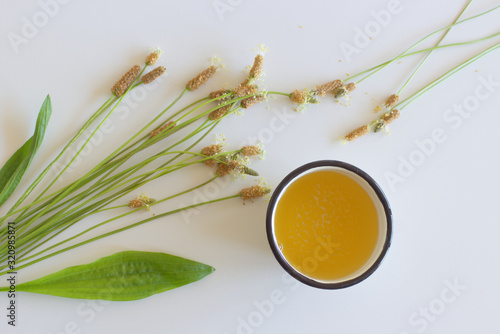 A cup of herbal tea against cough with fresh ribwort plantain leaves.Hebal medicine. Minimalism. Beautiful spring wildflowers . Edible ,healthy . photo