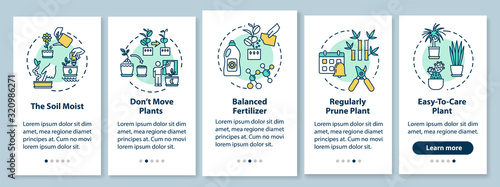Caring houseplants onboarding mobile app page screen with concepts. Balanced fertilizer. Floriculture walkthrough five steps graphic instructions. UI vector template with RGB color illustrations