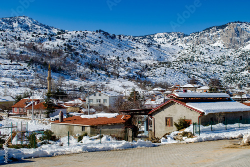 Snowy mountain village with cows, Turkey © Dr_Microbe