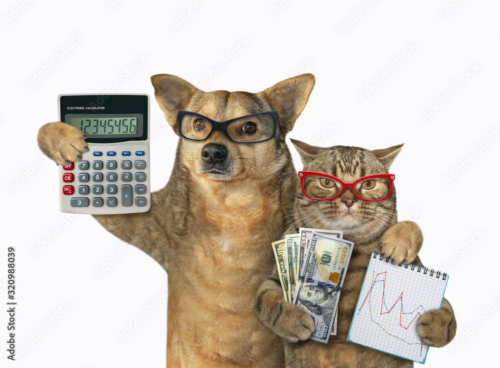 The cat holds a notebook with a financial chart and a fan of dollars