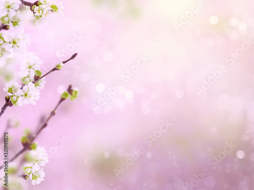 Spring cherry blossoms flowers on a branch on blurred background with bokeh © OlgaKot20