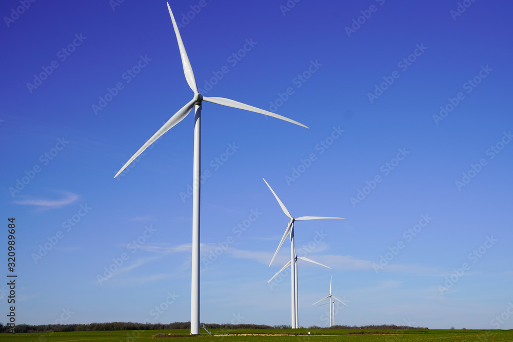 Wind turbines and agricultural fields on summer day blue sky