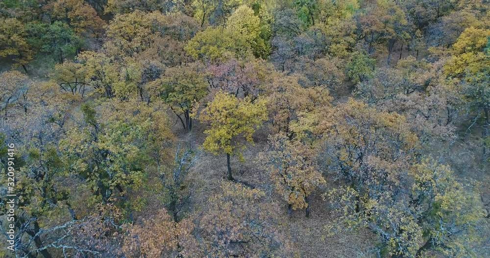 Drone Shot of Oregon Landscape During The Fall with Forests and Mountains Drone Shot of Oregon Landscape During The Fall with Forests and Mountains