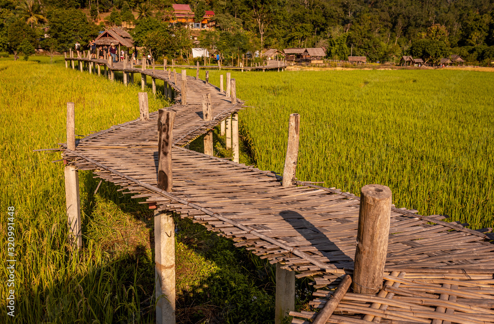 Bamboo bridge and rice paddies, Pai, Thailand