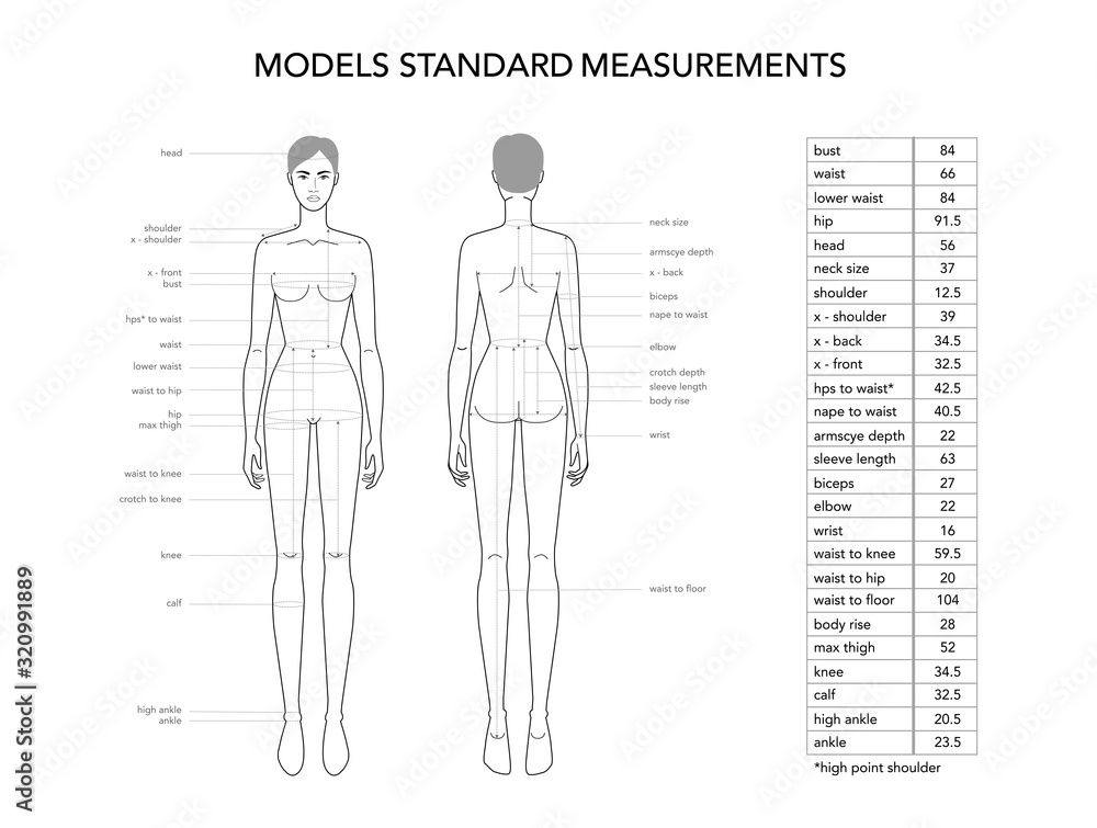 Womens model measurements fashion terminology Illustration for lady