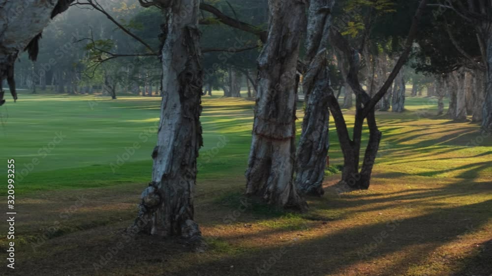 A beautiful golf course during sunset. Pan shot. A beautiful golf course during sunset. Pan shot.