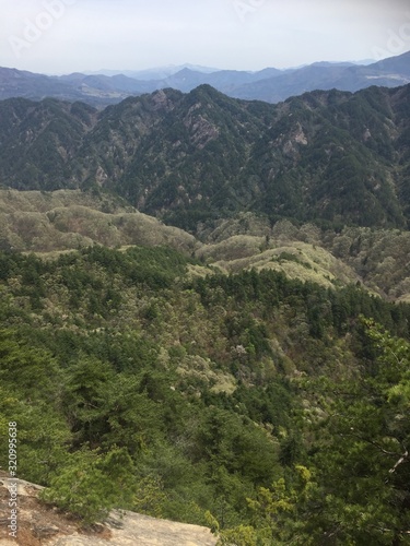 山