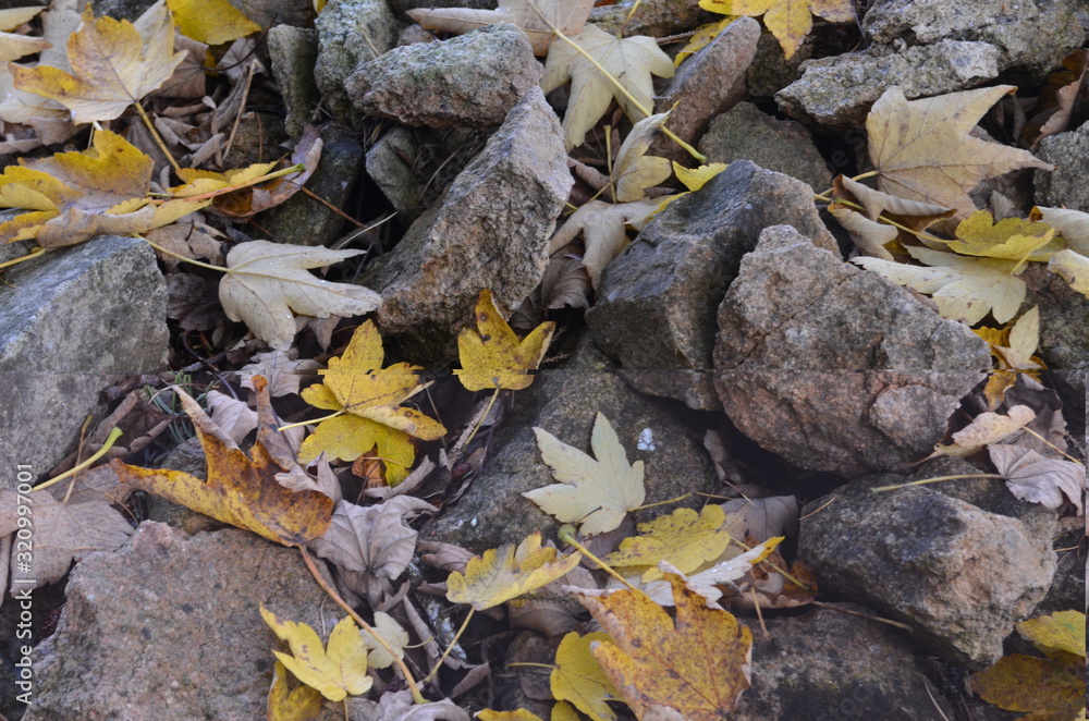 Laub auf Steinen