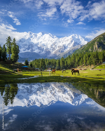 Fairy Meadows