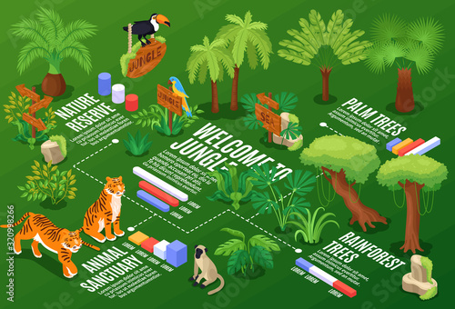 Isometric Jungle Flowchart Composition