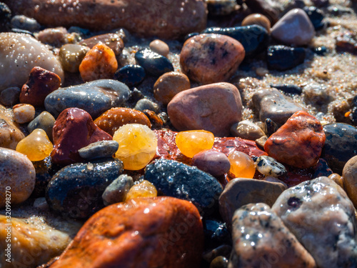 Fototapeta Naklejka Na Ścianę i Meble -  Small amber stone and pebbles on the sandy beach. Shallow wet amber washed by waves. Natural mineral at the Baltic sea coast.  Short focus.