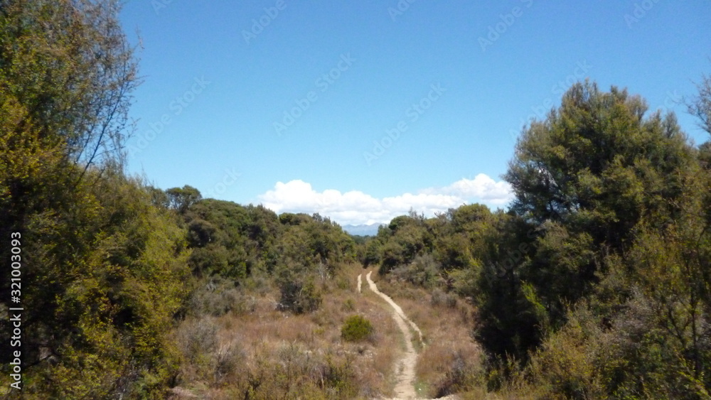 Fototapeta premium tracks montagne