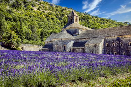 Fototapeta Naklejka Na Ścianę i Meble -  Senanque Abbey in Provence, France
