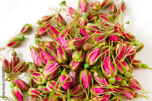 Rose buds on a white background.