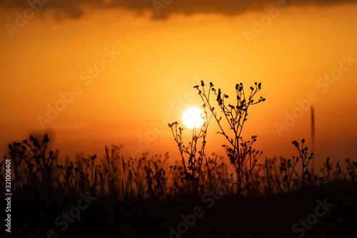 Orange sunset over the autumn field.