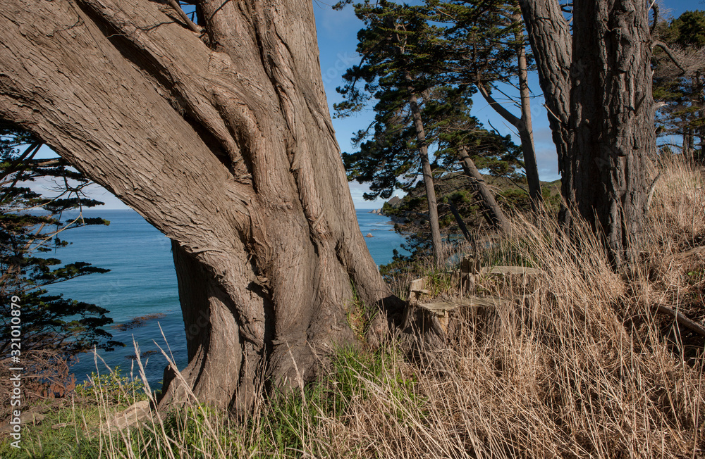 Nugget Point coast. Catlins New Zealand Nugget Point coast. Catlins New Zealand