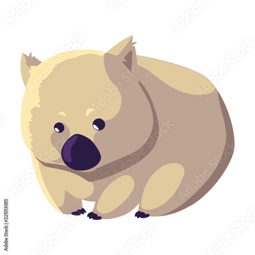 cute australian wombat on white background