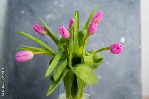 Fototapeta Naklejka Na Ścianę i Meble -  Spring flower pink tulips