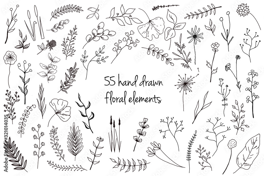 55 hand drawn floral elements 55 hand drawn floral elements