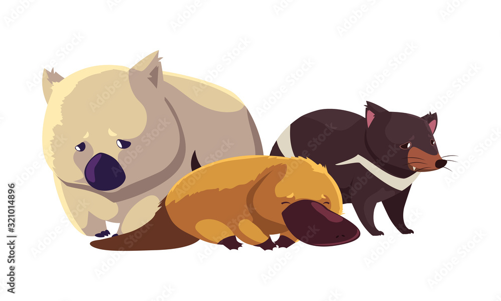 Fototapeta premium animals of australia on white background