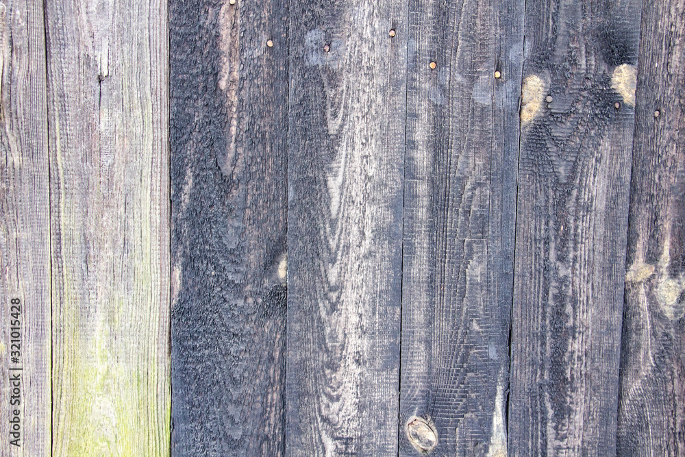 Fototapeta premium A wood background. Texture of a wood. A Vintage and Natural material for the background.