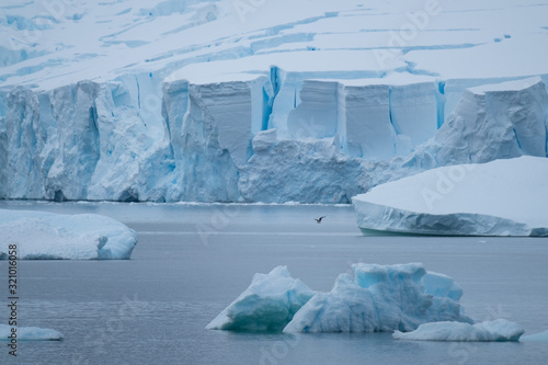 Stunning icy landscapes, Chiriguano Bay, Danko Island, Antarctic Peninsula, Antarctica photo