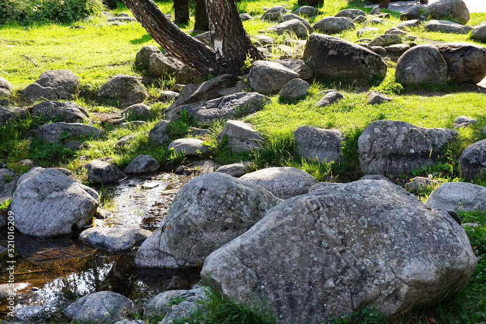 Beautiful pond next to green grass and grey stones