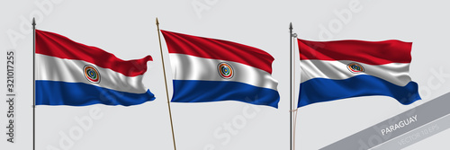 Set of Paraguay waving flag on isolated background vector illustration
