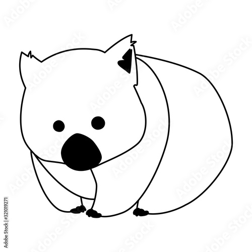 cute australian wombat on white background