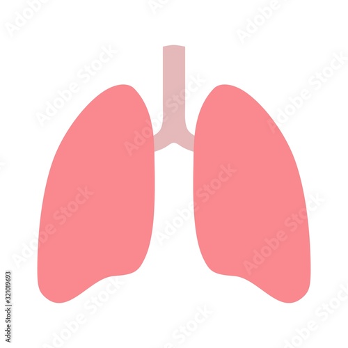 Lungs flat icon over white background. Human respiratory system with healthy internal organ