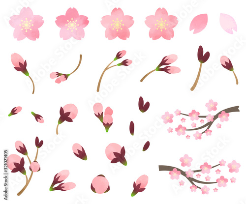 桜　水彩風　イラスト素材　セット