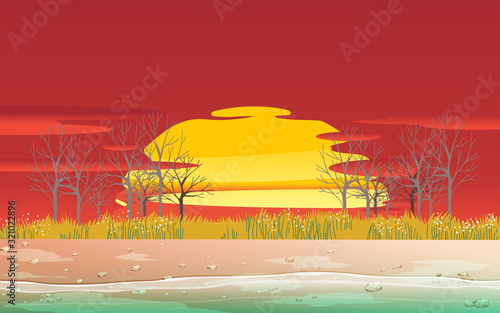 landscape of sunset at the river side in summer	