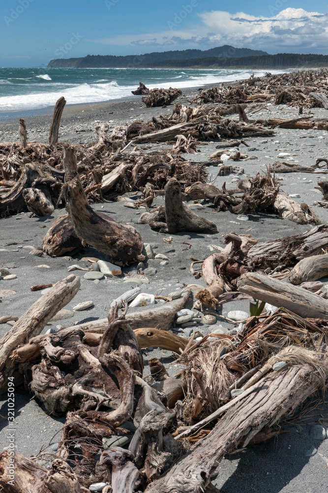 Westcoast New Zealand. Bruce Bay. Beach. Driftwood.