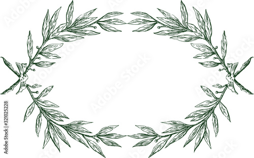 Vector decorative frame from sketches laurel branches with ribbon