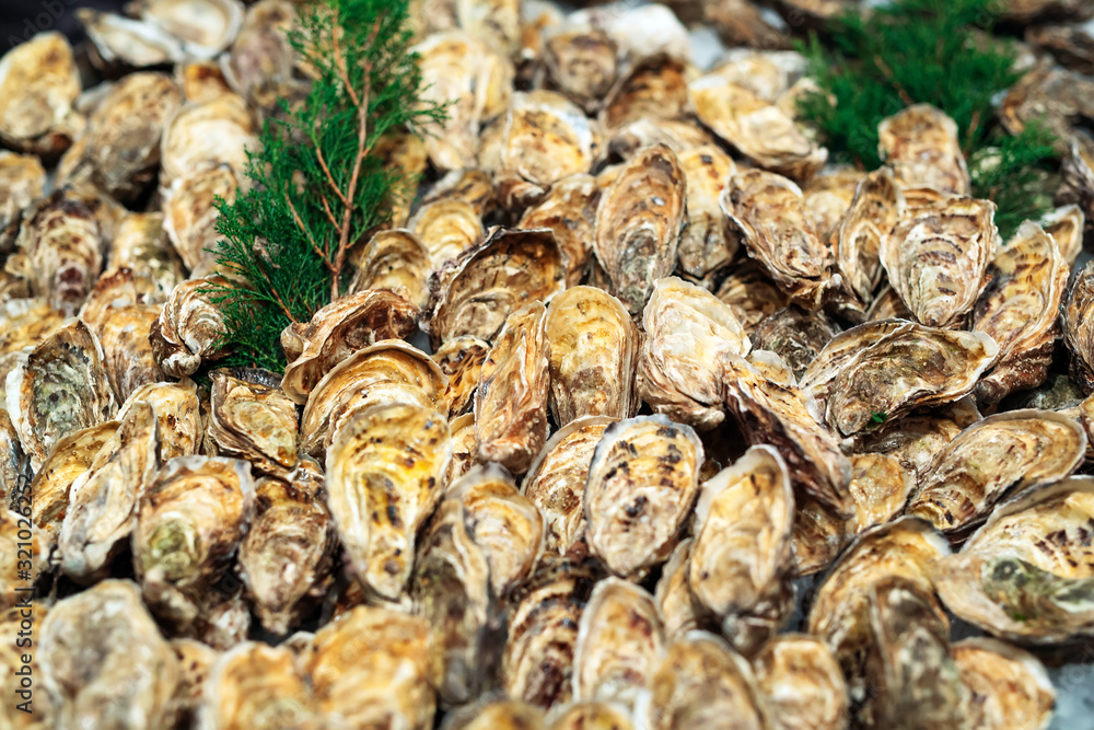 Oysters for sale at the seafood market. Fish market stall full of fresh shell oysters.