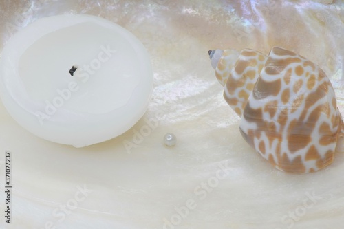 Babylonia spirata with a candle and a pearl in a mother of pearl shell photo
