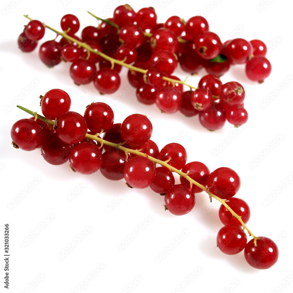 GROSEILLE ROUGE GROSEILLE ROUGE