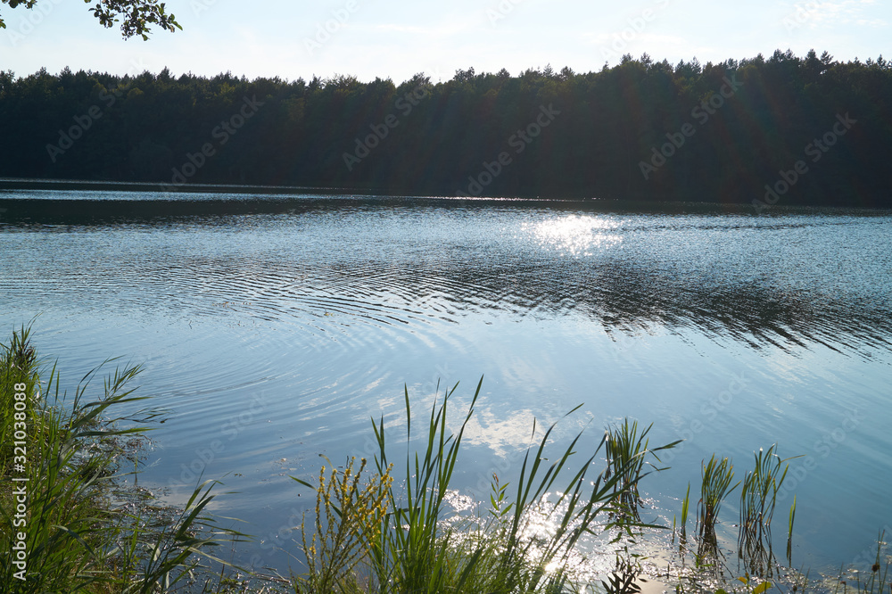 landscape with lake and forest landscape with lake and forest