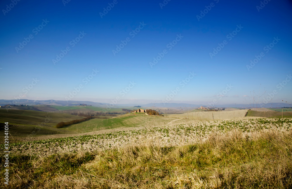 Agriculture Landscape with Plants and Hills in Tuscany, Italy. Agriculture Landscape with Plants and Hills in Tuscany, Italy.