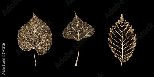 Set of gold skeleton leaves on black background